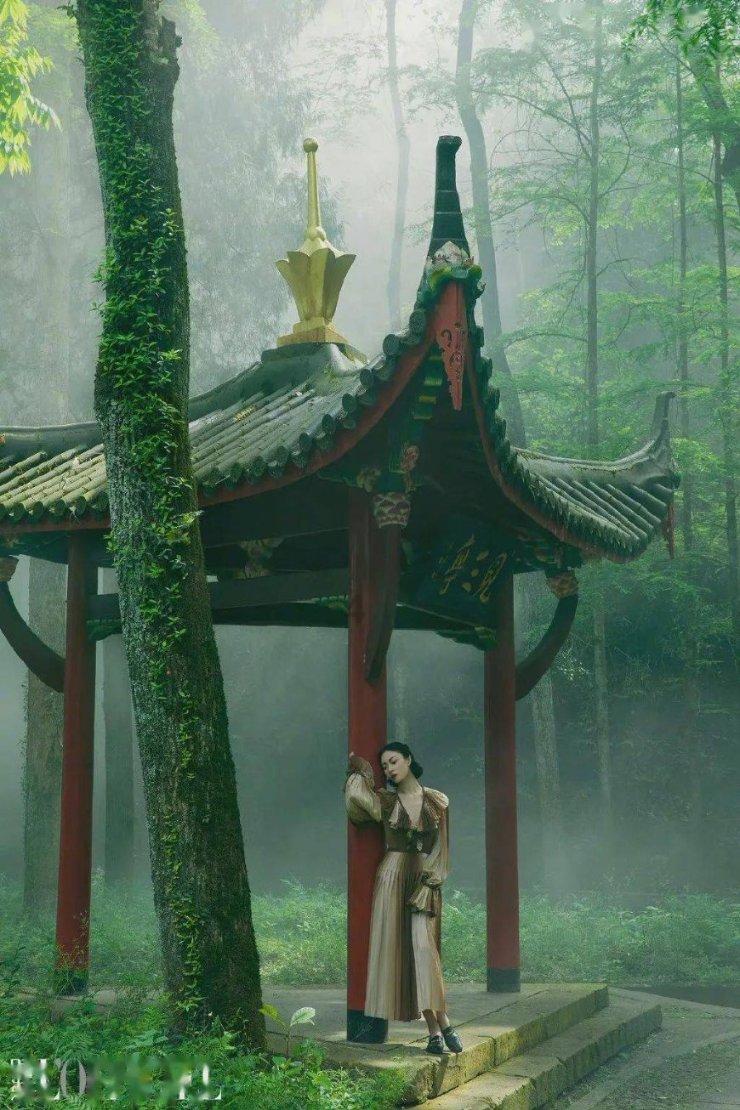 电鳗汽车-稳居中国汽车行业前列，长城汽车A股的辉煌